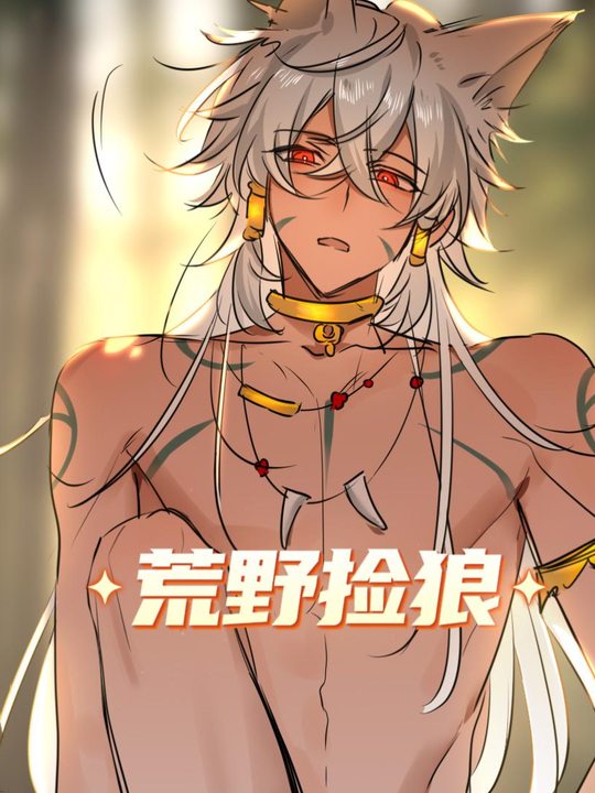 荒野捡狼封面