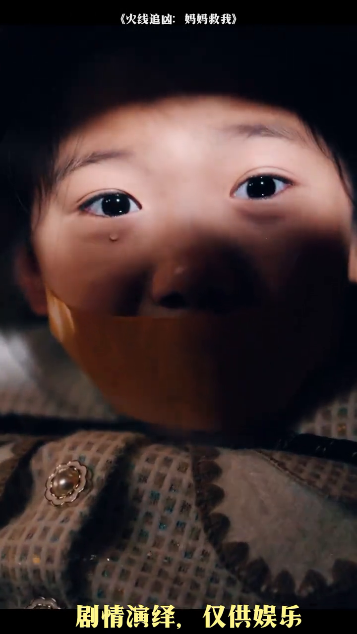 火线追凶妈妈救我封面