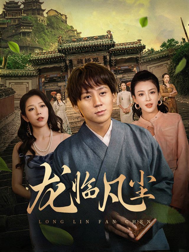 龙临凡尘封面