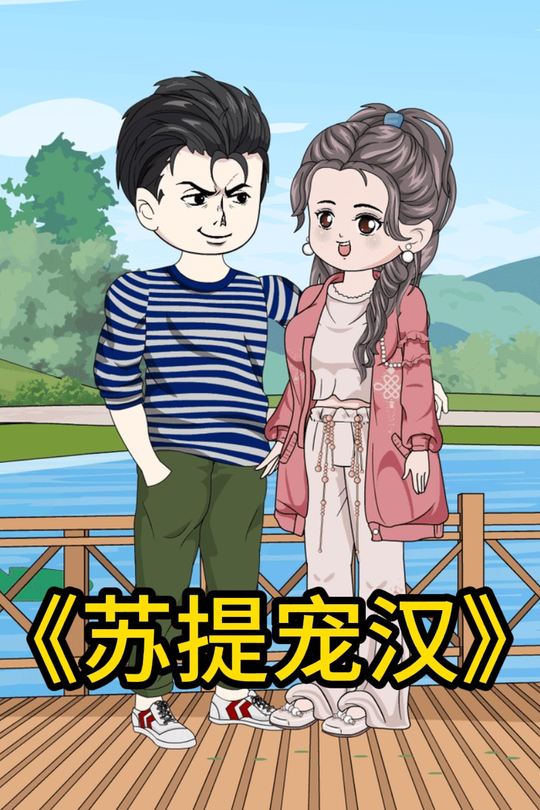 苏提宠汉封面