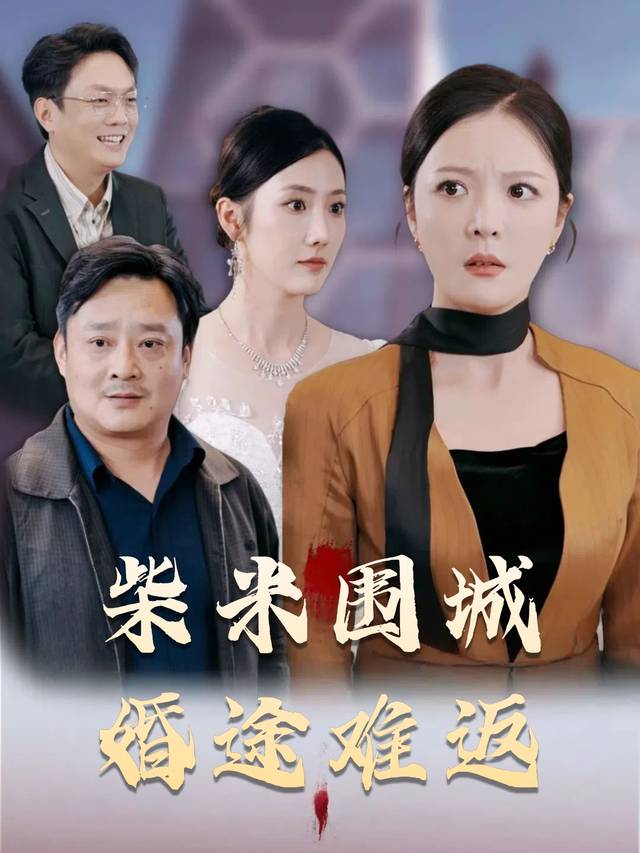 柴米围城婚途难返封面