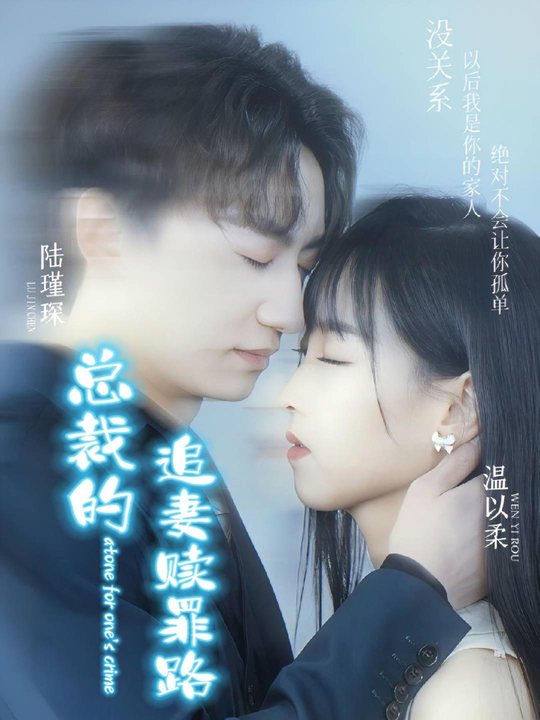 总裁的追妻赎罪路封面