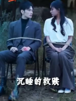 沉睡的救赎封面