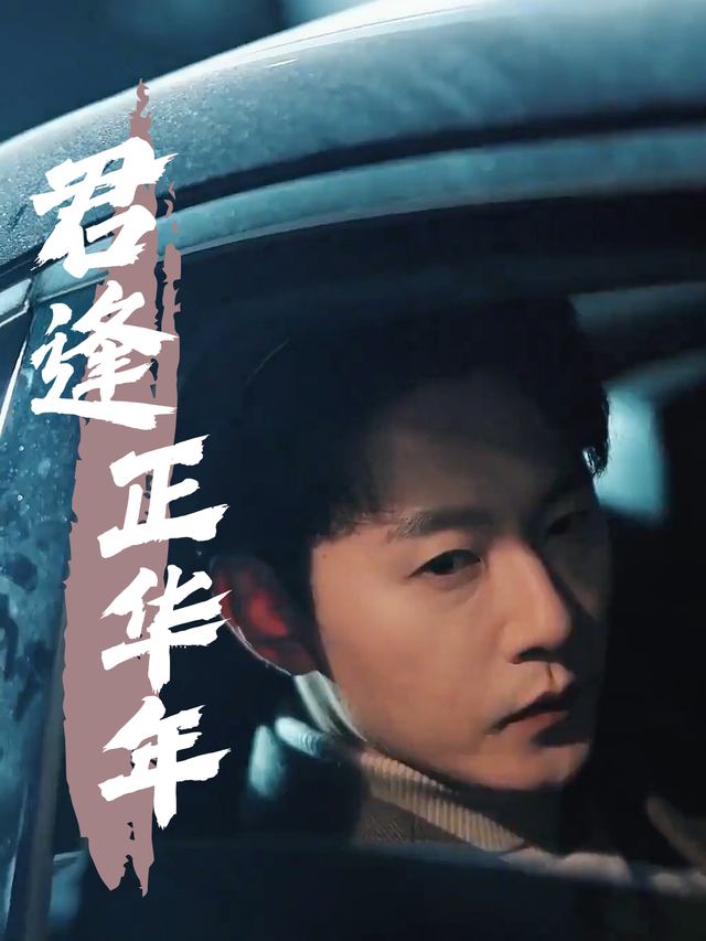 君逢正华年封面