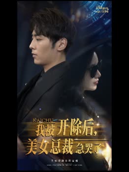 我被开除后,美女总裁急哭了封面