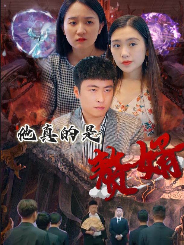 他真的是赘婿封面