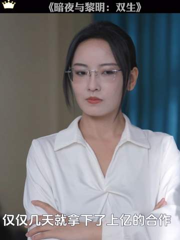 暗夜与黎明双生封面