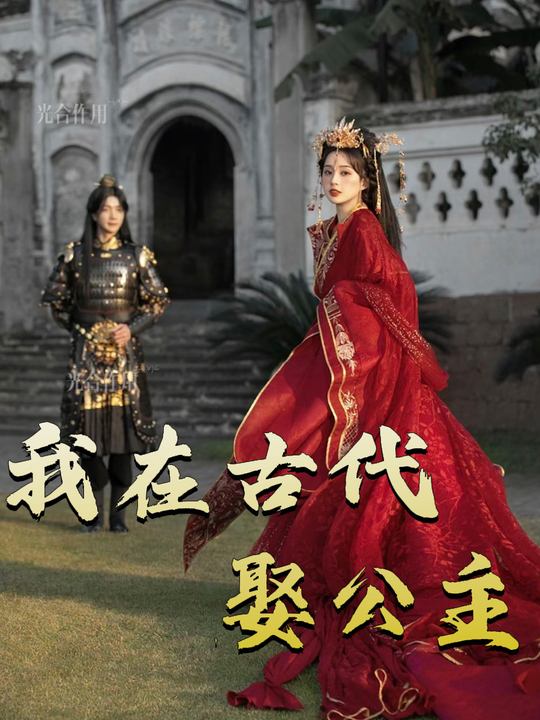 我在古代娶公主封面