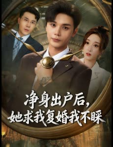 净身出户后,她求我复婚我不睬封面