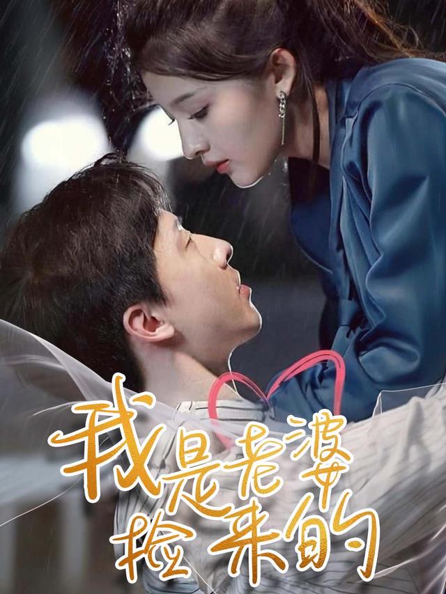 我是老婆捡来的封面