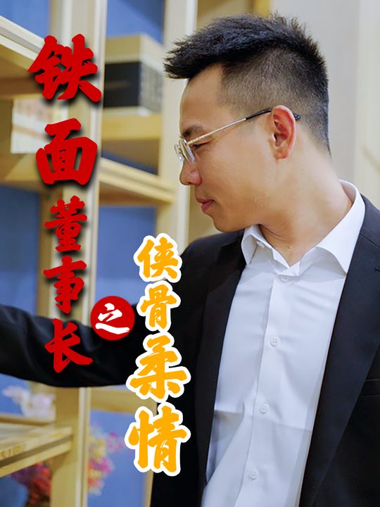 铁面董事长之侠骨柔情封面