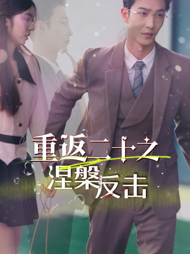 重返二十之涅槃反击封面