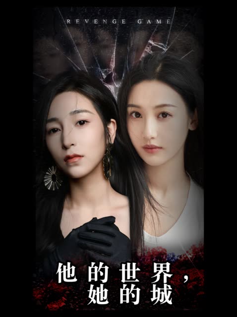 他的世界，她的城封面