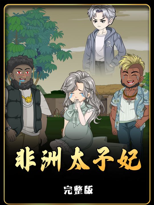 非洲太子妃封面