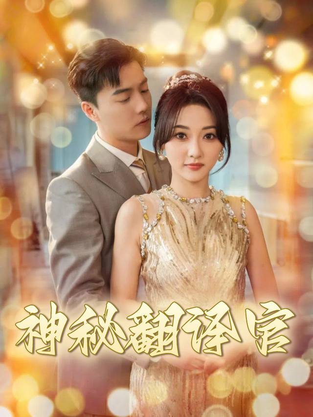 神秘翻译官封面