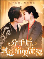 分手后,封总痛苦流涕封面