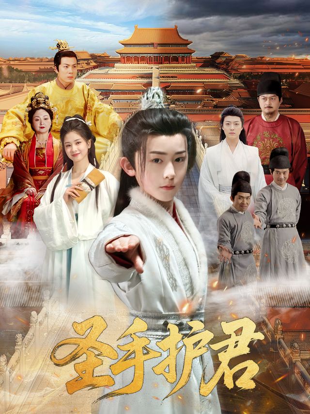 圣手护君封面