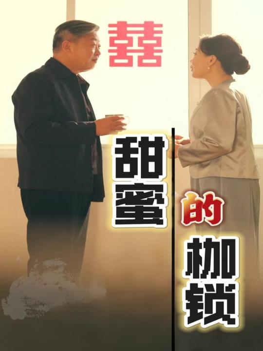 甜蜜的枷锁封面