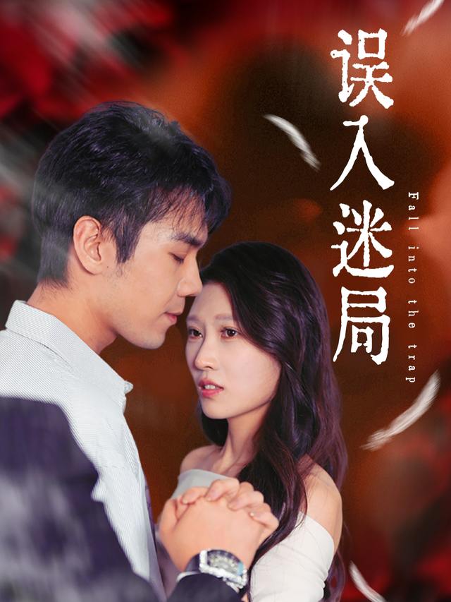 误入迷局封面