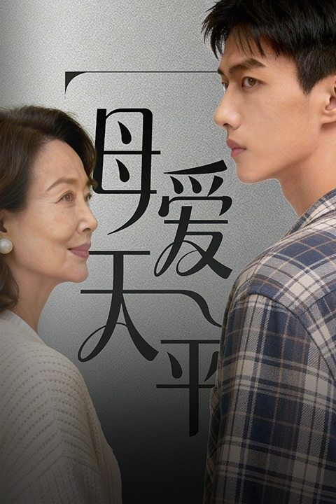 母爱天平封面