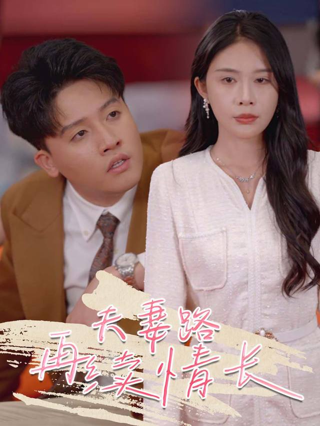夫妻路:再续情长封面