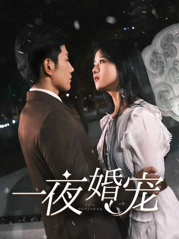 一夜婚宠封面