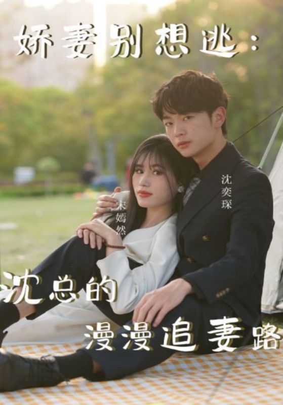 娇妻别想逃:沈少的漫漫追妻路封面