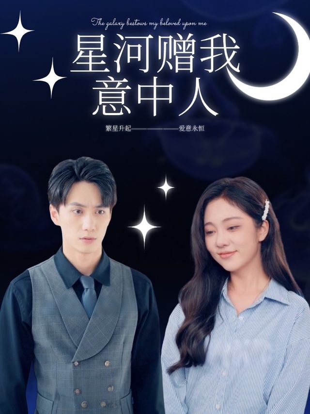星河赠我意中人封面