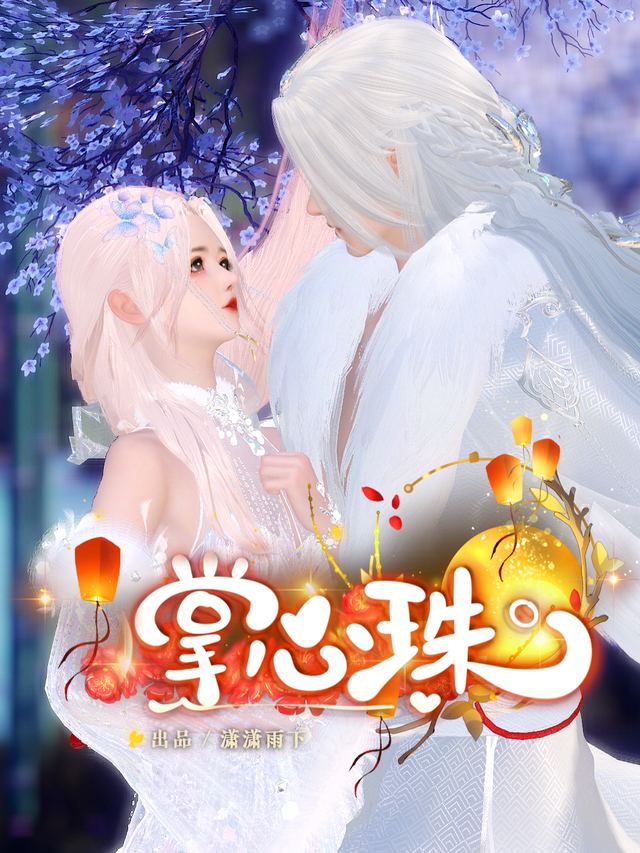 掌心珠封面