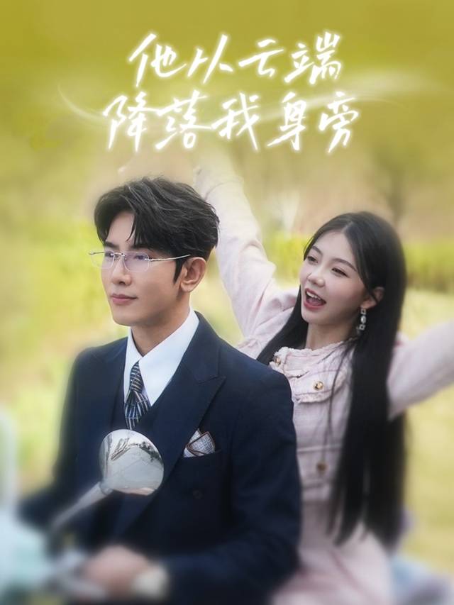 他从云端降落我身旁封面