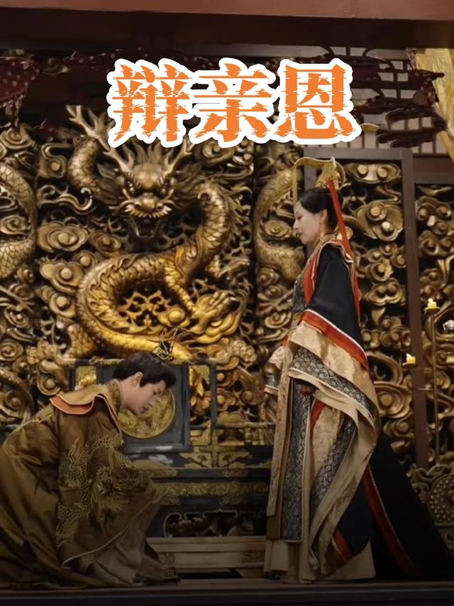 辩亲恩封面