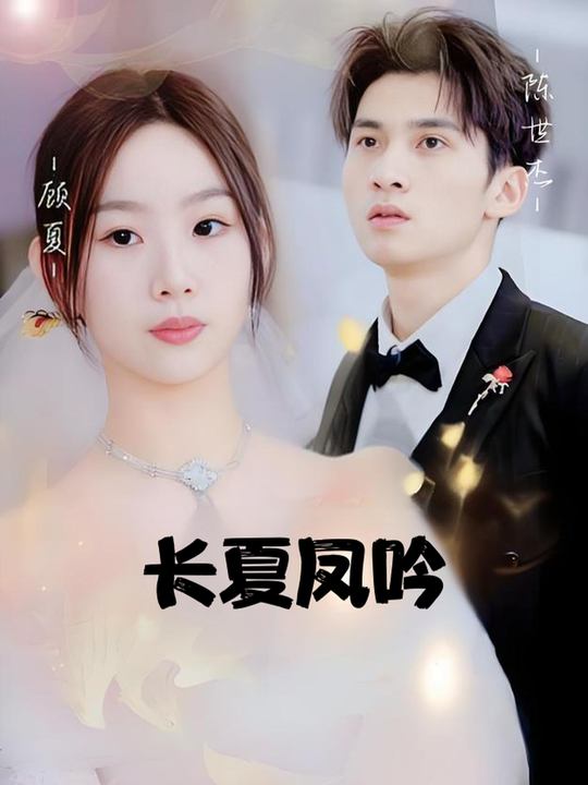 长夏凤吟封面