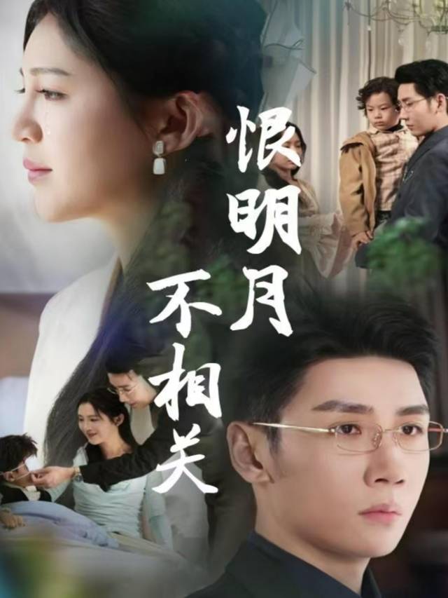 恨明月不相关封面