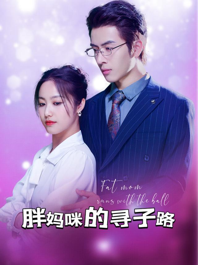 胖妈咪的寻子路封面