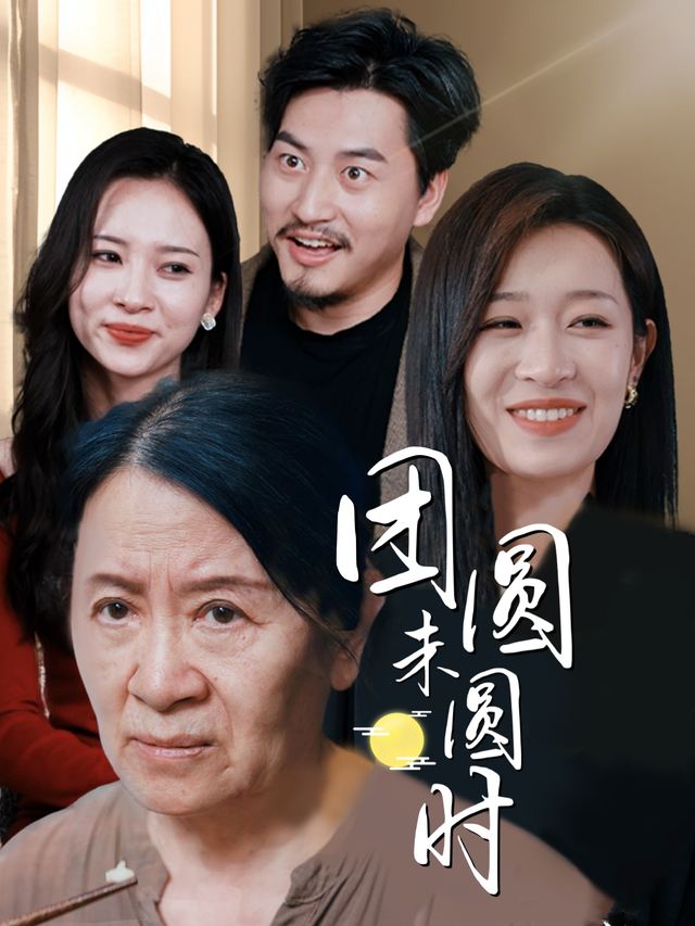 团圆未圆时封面