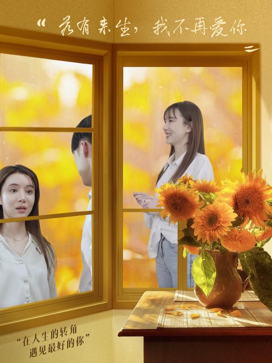 若有来生,我不再爱你封面