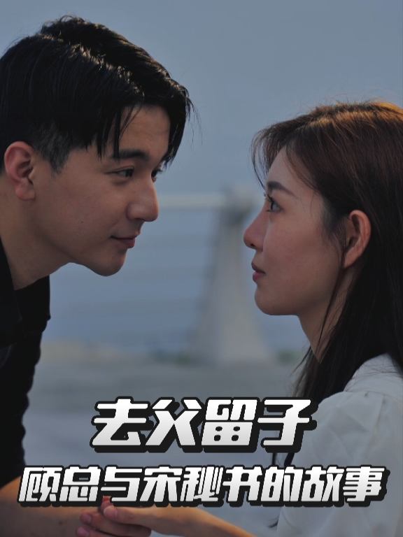 去父留子:顾总与宋秘书的故事封面