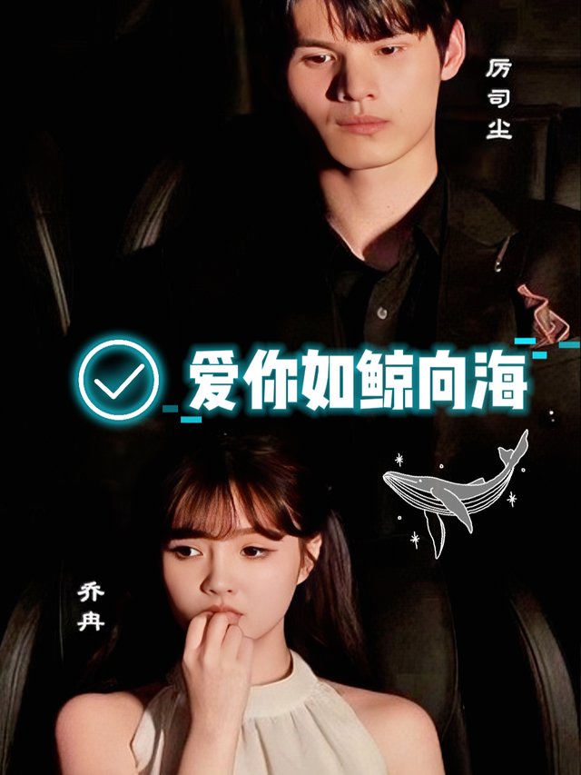 爱你如鲸向海封面