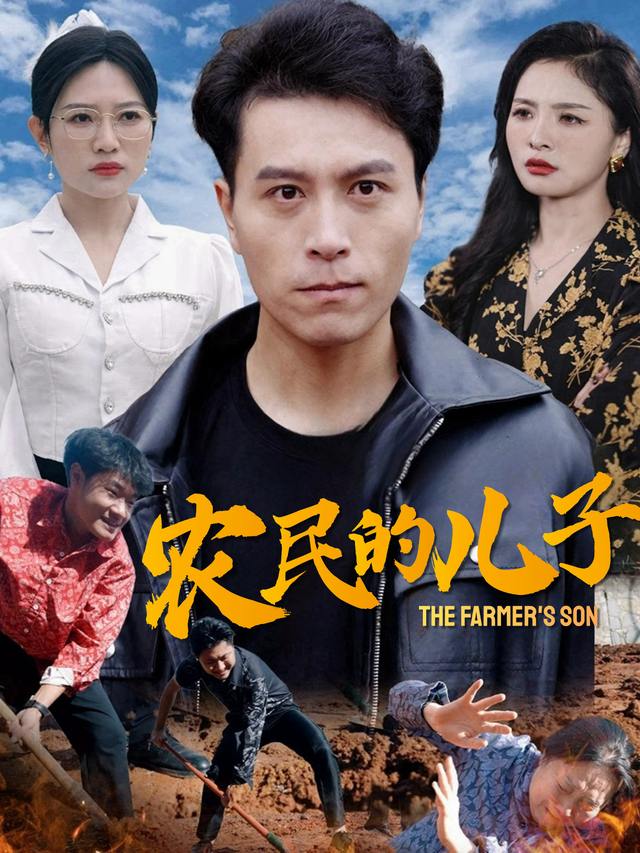 农民的儿子封面
