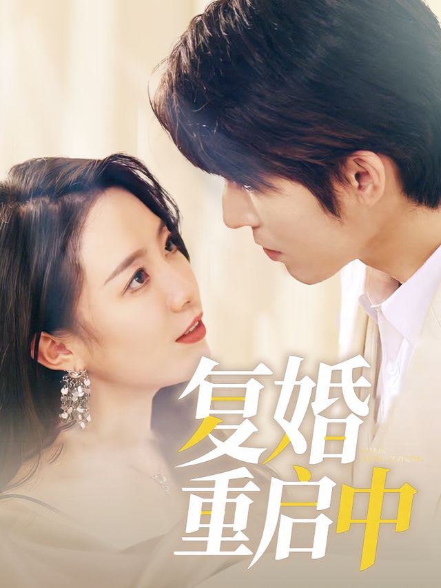 复婚重启中封面