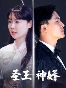 圣王神婿封面
