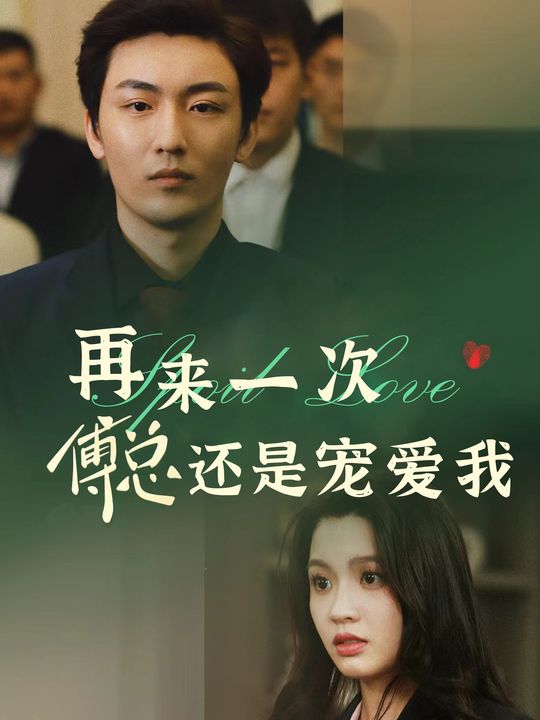 再来一次傅总还是宠爱我封面