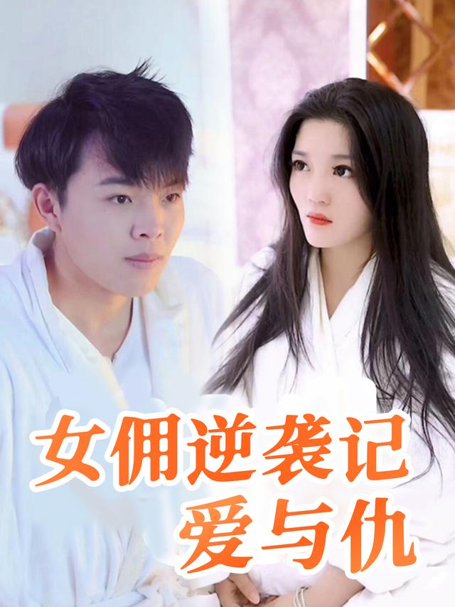 女佣逆袭记爱与仇封面