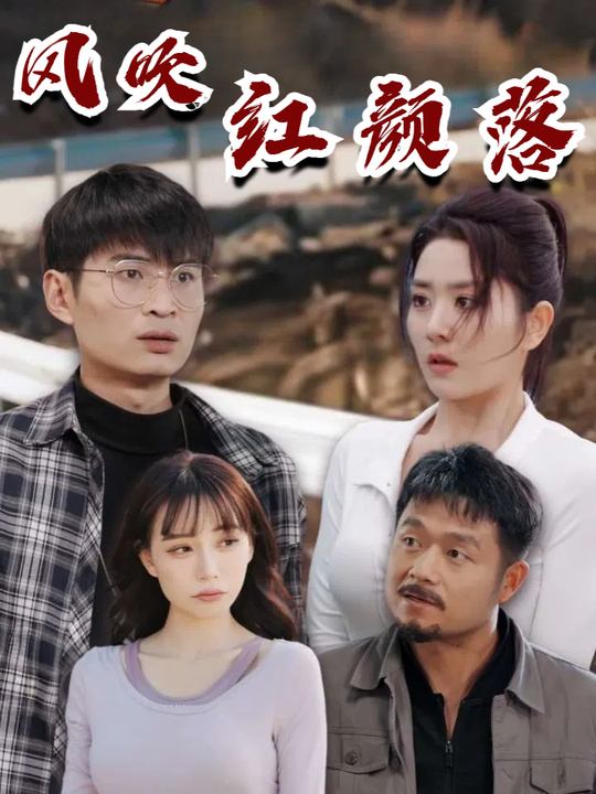 风吹红颜落封面