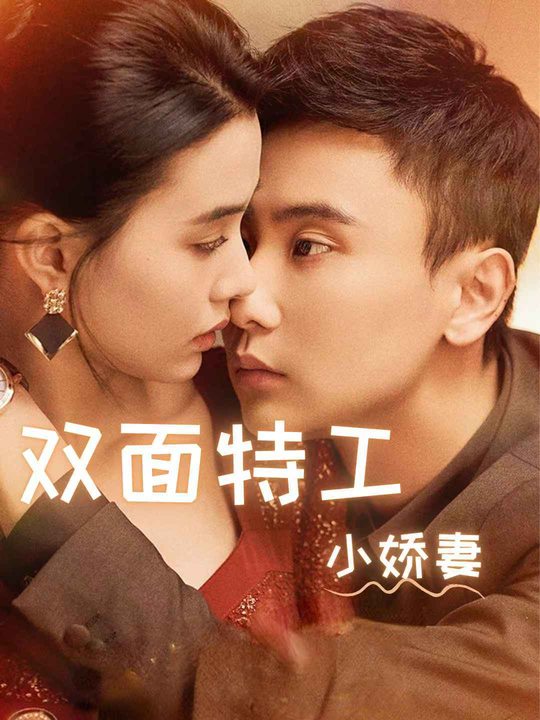 双面特工小娇妻封面