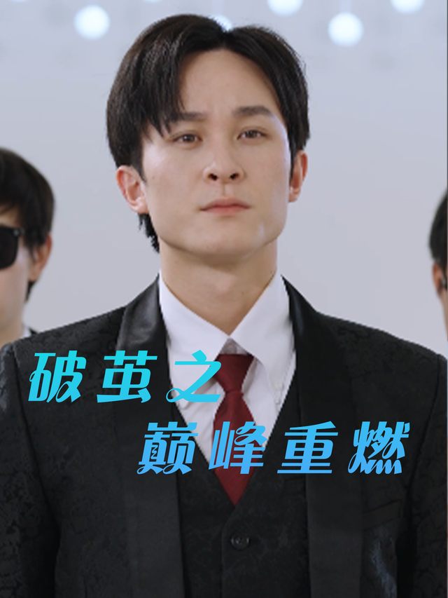 破茧之巅峰重燃封面