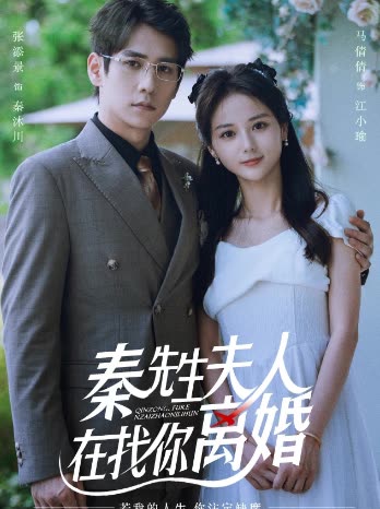 秦先生夫人在找你离婚封面