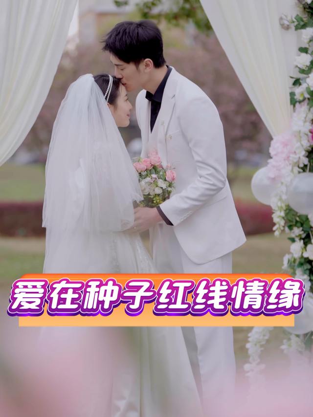 爱在种子红线情缘封面
