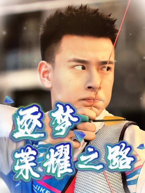 逐梦荣耀之路封面