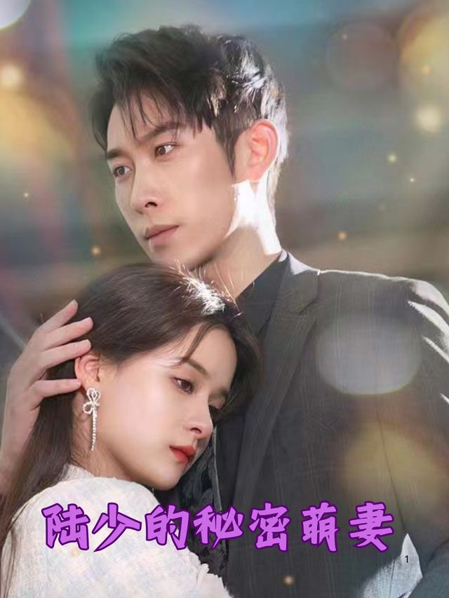 陆少的秘密萌妻封面